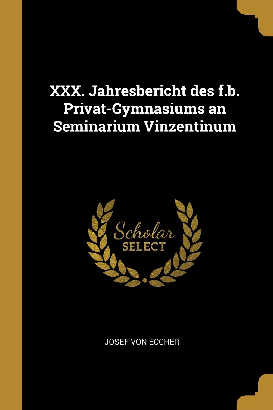 XXX. Jahresbericht des f.b. PrivatGymnasiums an Seminarium Vinzentinum (German Edition)