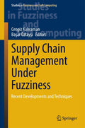 Supply Chain Management Under Fuzziness: Recent Developments and Techniques (Studies in Fuzziness and Soft Computing, 313)