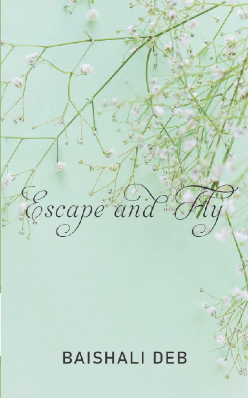 Escape and Fly