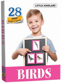 Flash Cards  BIRDS