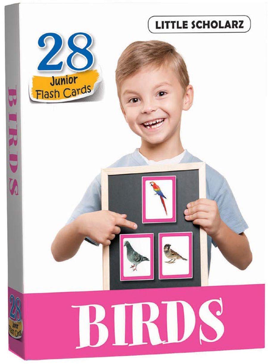 Flash Cards  BIRDS