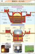 Stg17 | Teachingnest | BioGas Chart (58X90 Cm) | English | General Science Charts | With Rollers [Wall Chart] General Science C