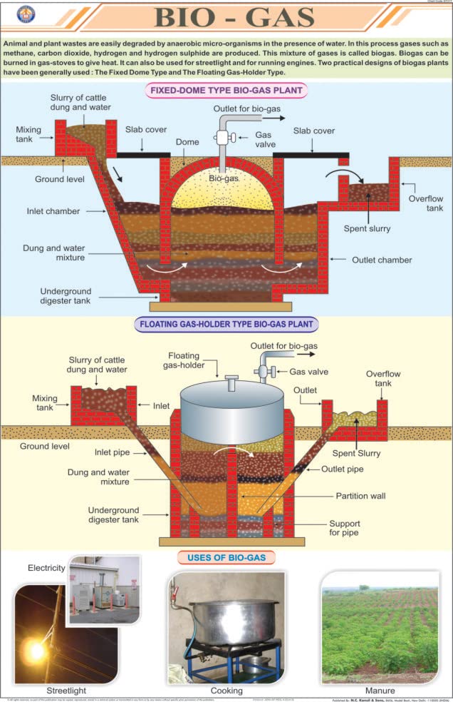 Stg17 | Teachingnest | BioGas Chart (58X90 Cm) | English | General Science Charts | With Rollers [Wall Chart] General Science C