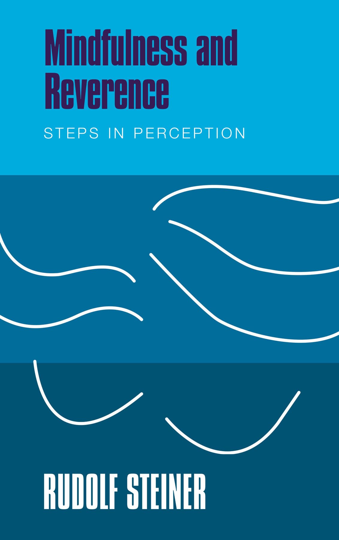 Mindfulness and Reverence: Steps in Perception