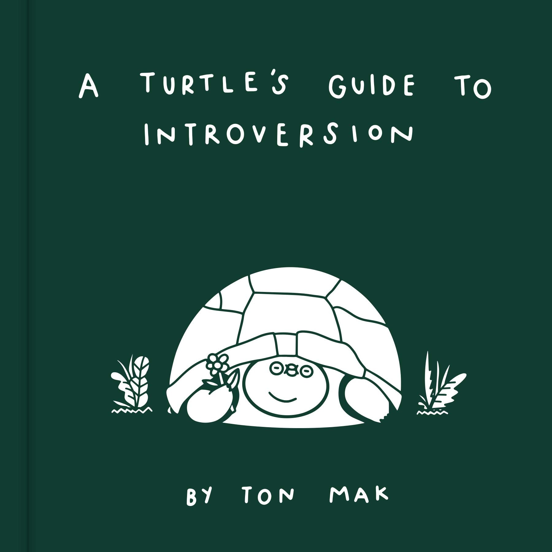 A Turtles Guide to Introversion