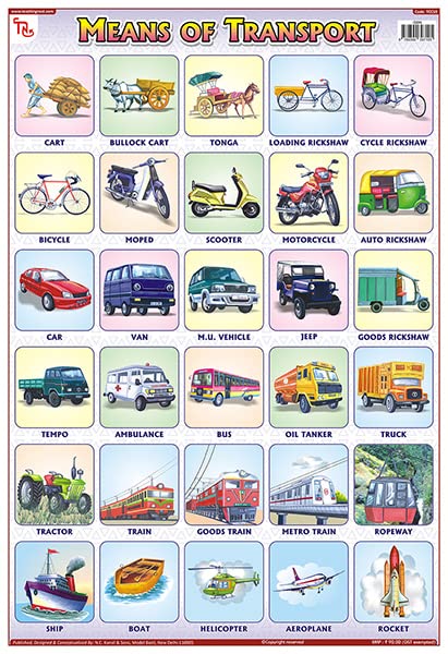 Tcc10 | Teachingnest Means Of Transport Chart | Laminated 33X48 Cm (13X19 Inch) | Wall Sticking [Wall Chart] Teachingnest
