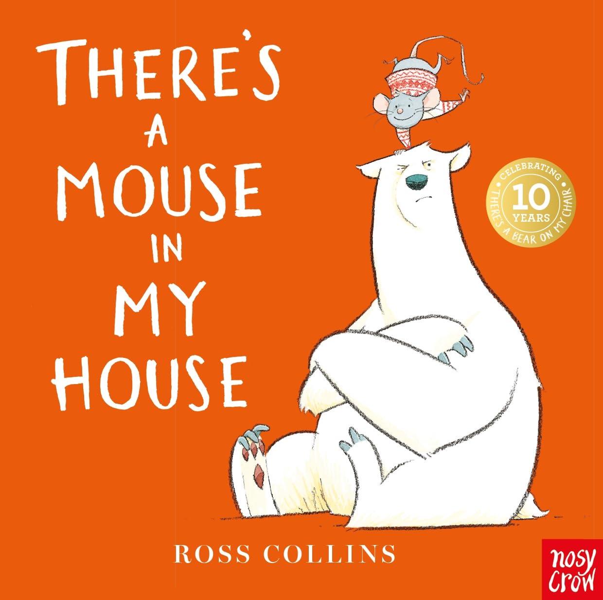 Nosy Crow Theres a Mouse in My House.