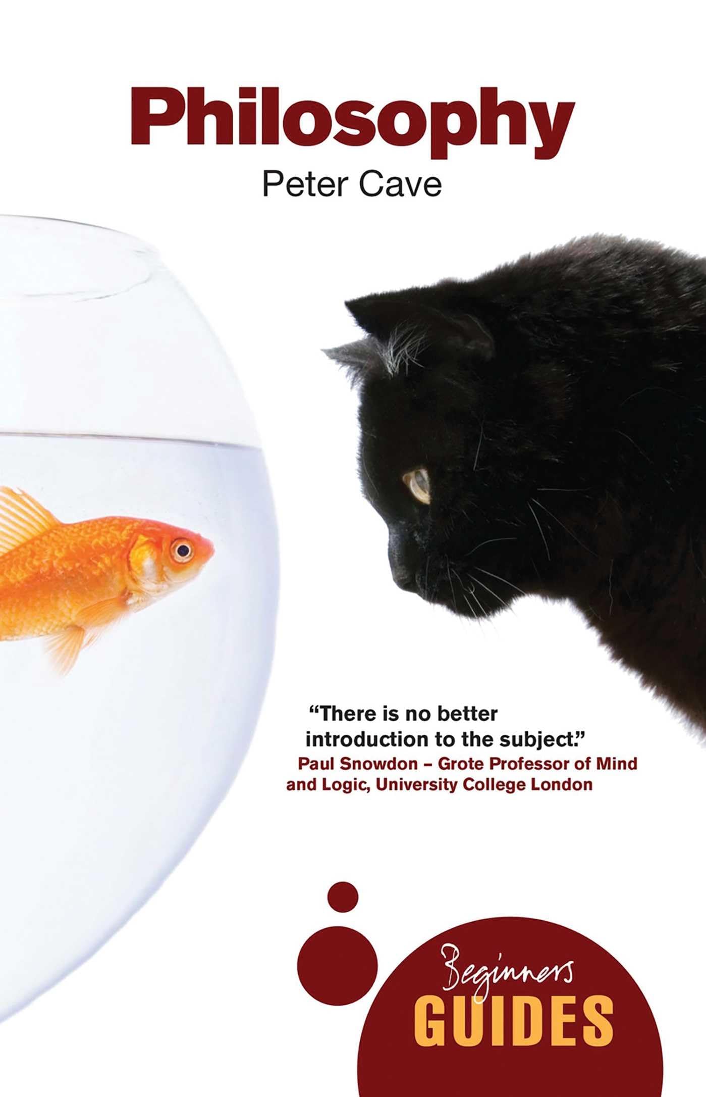 Philosophy: A Beginners Guide (Beginners Guides)