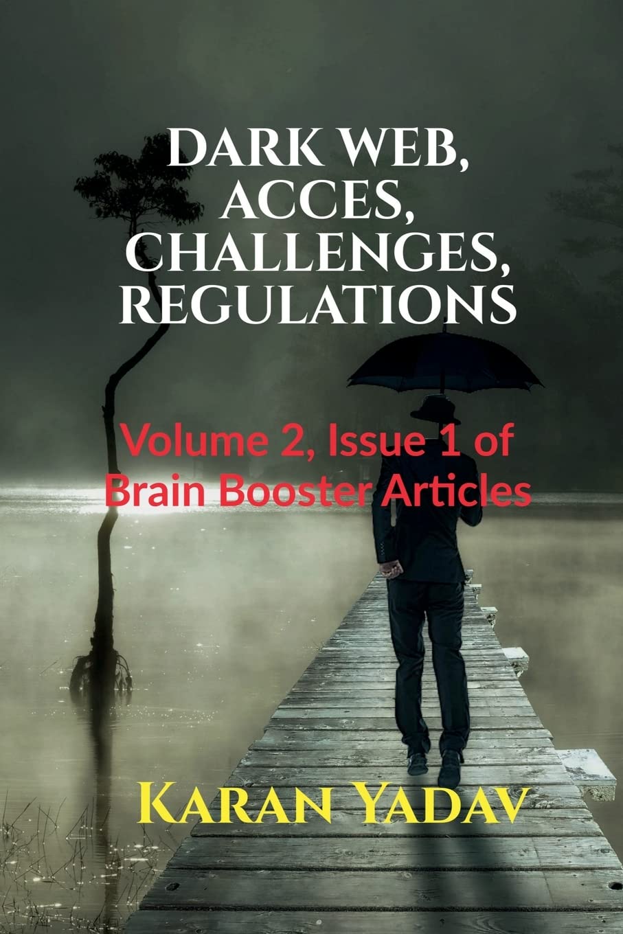 DARK WEB, ACCES, CHALLENGES, REGULATIONS : Volume 2, Issue 1