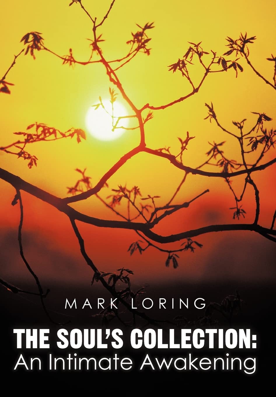 The Souls Collection: An Intimate Awakening