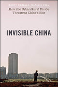 Invisible China: How the UrbanRural Divide Threatens Chinas Rise