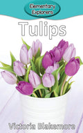 Tulips (Elementary Explorers)