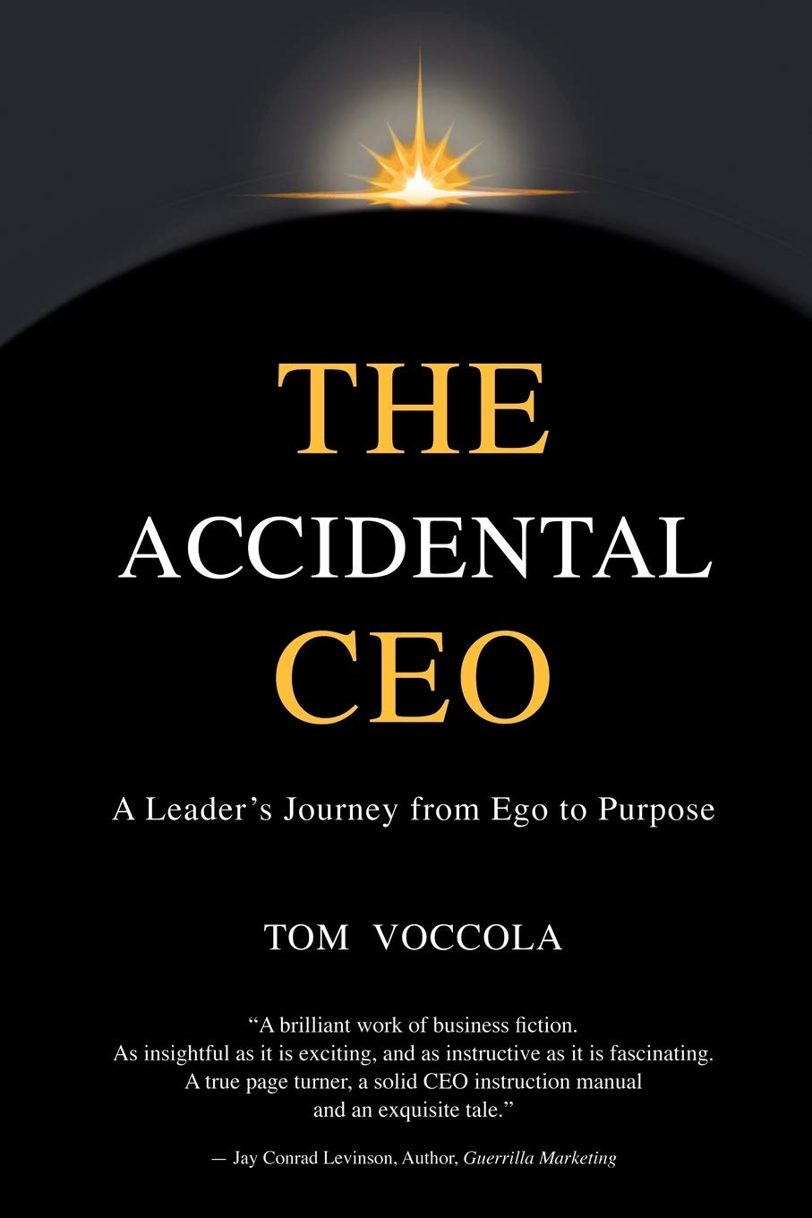 The Accidental Ceo: A Leaders Journey from Ego to Purpose