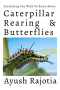 Caterpillar Rearing & Butterflies: Everything You Wish To Know About