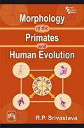 Morphology of the Primates and Human Evolution
