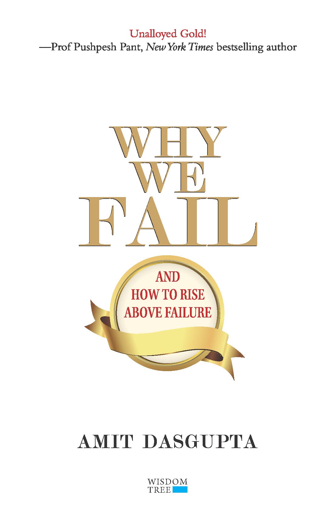 Why We Fail and How to Rise Above Failure