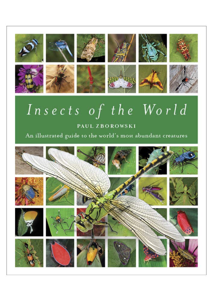 Insects of the World: An Illustrated Guide to the Worlds Most Abundant Creatures