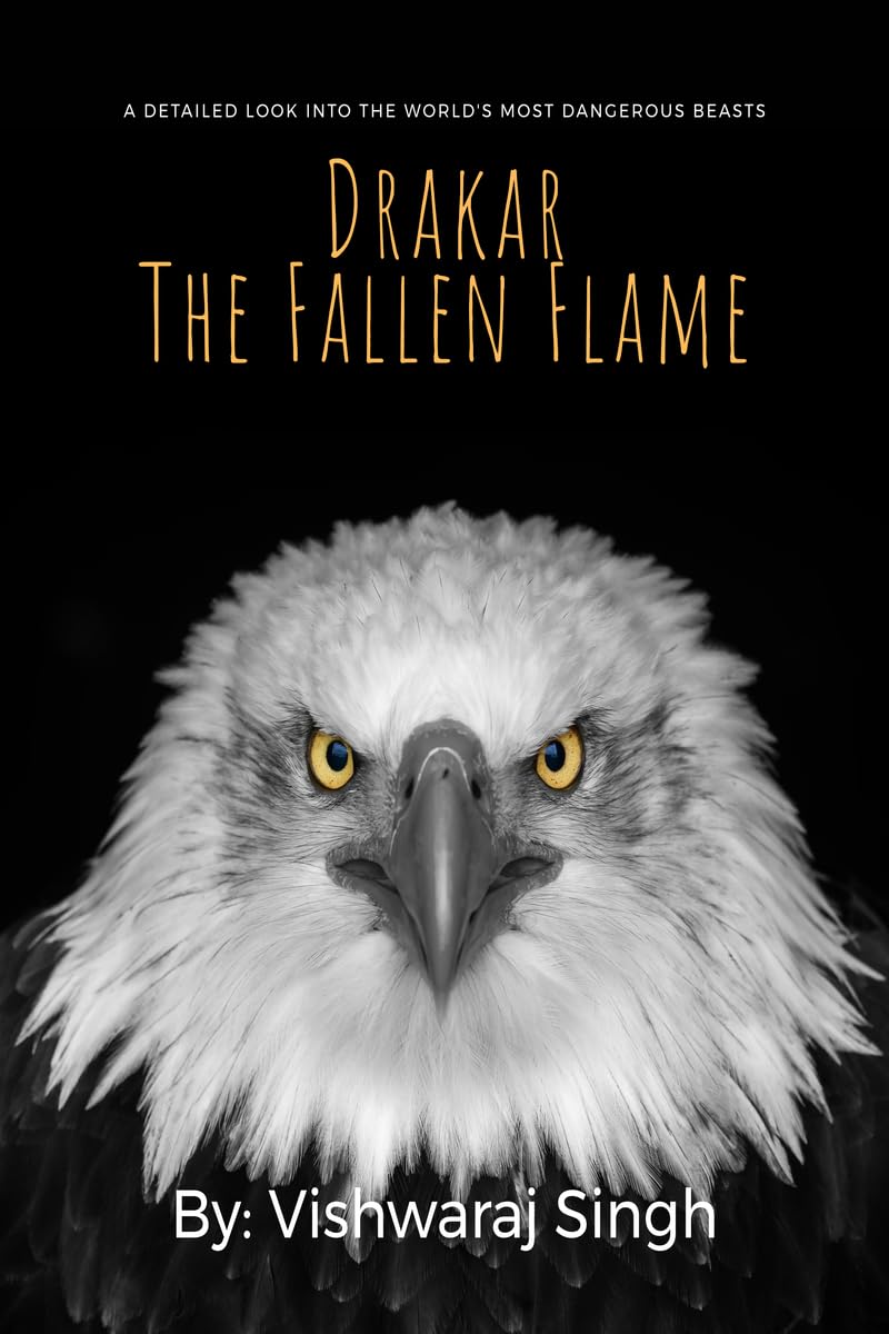 Drakar The Fallen Flame
