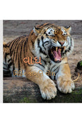 Tiger is the national animal of India /      