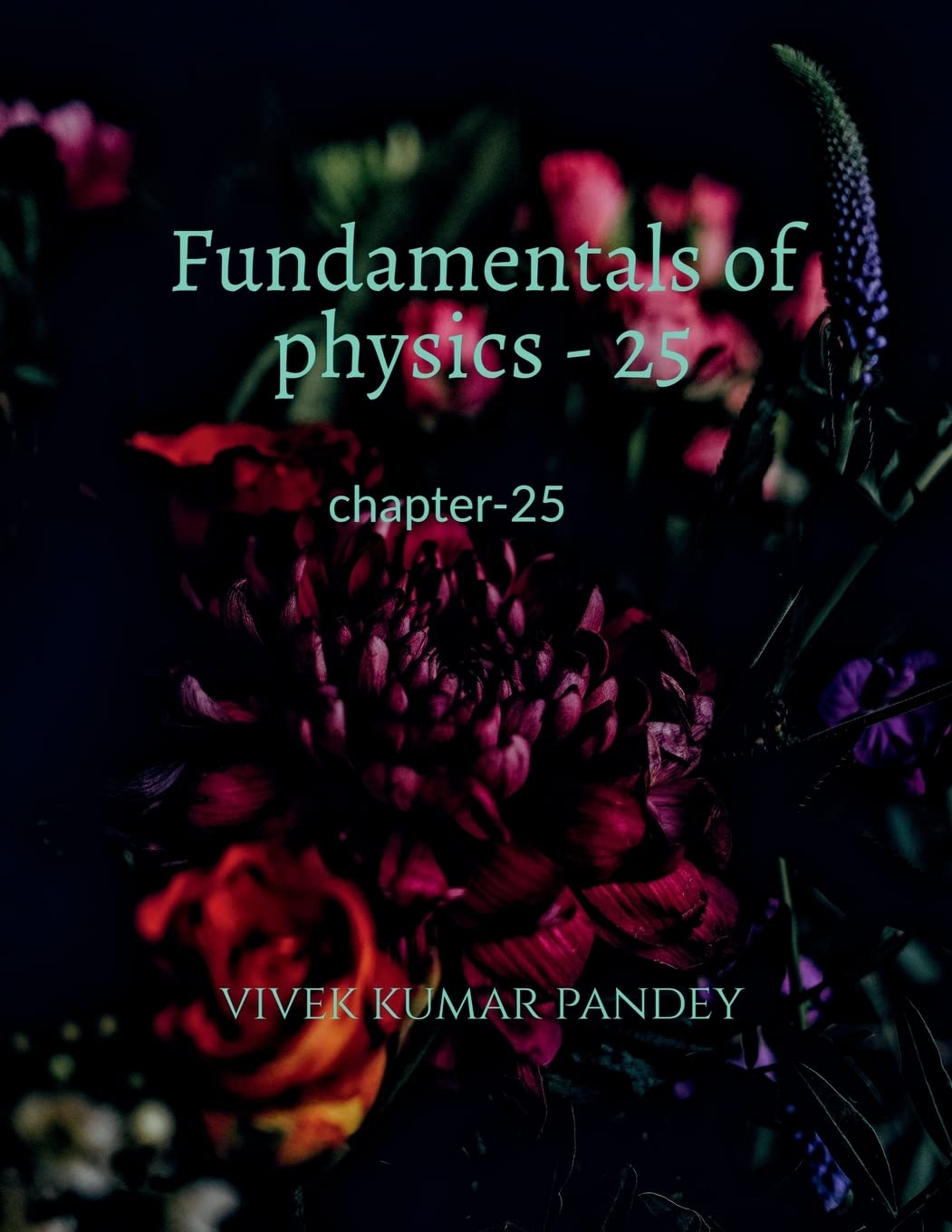 Fundamentals Of Physics  25: Chapter25