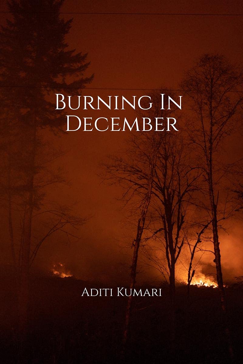 Burning In December : Thoughts of a 14 year old that remained unsaid until now.