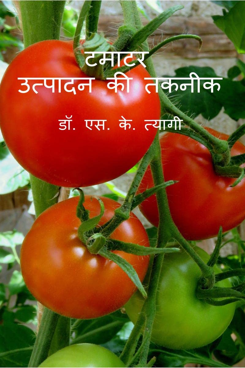 Tamatar Utpadan Ki Takneek /    