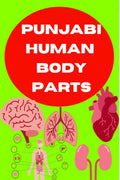 Punjabi Human Body parts book
