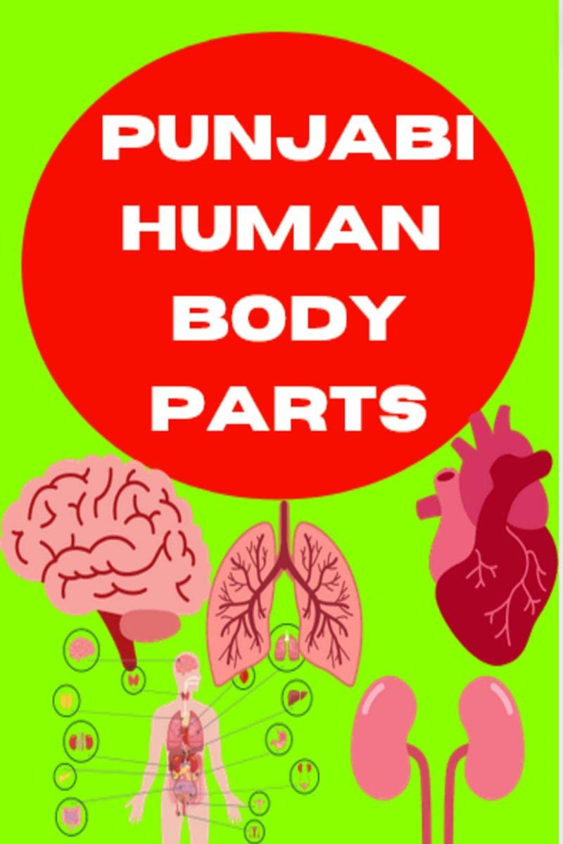 Punjabi Human Body parts book