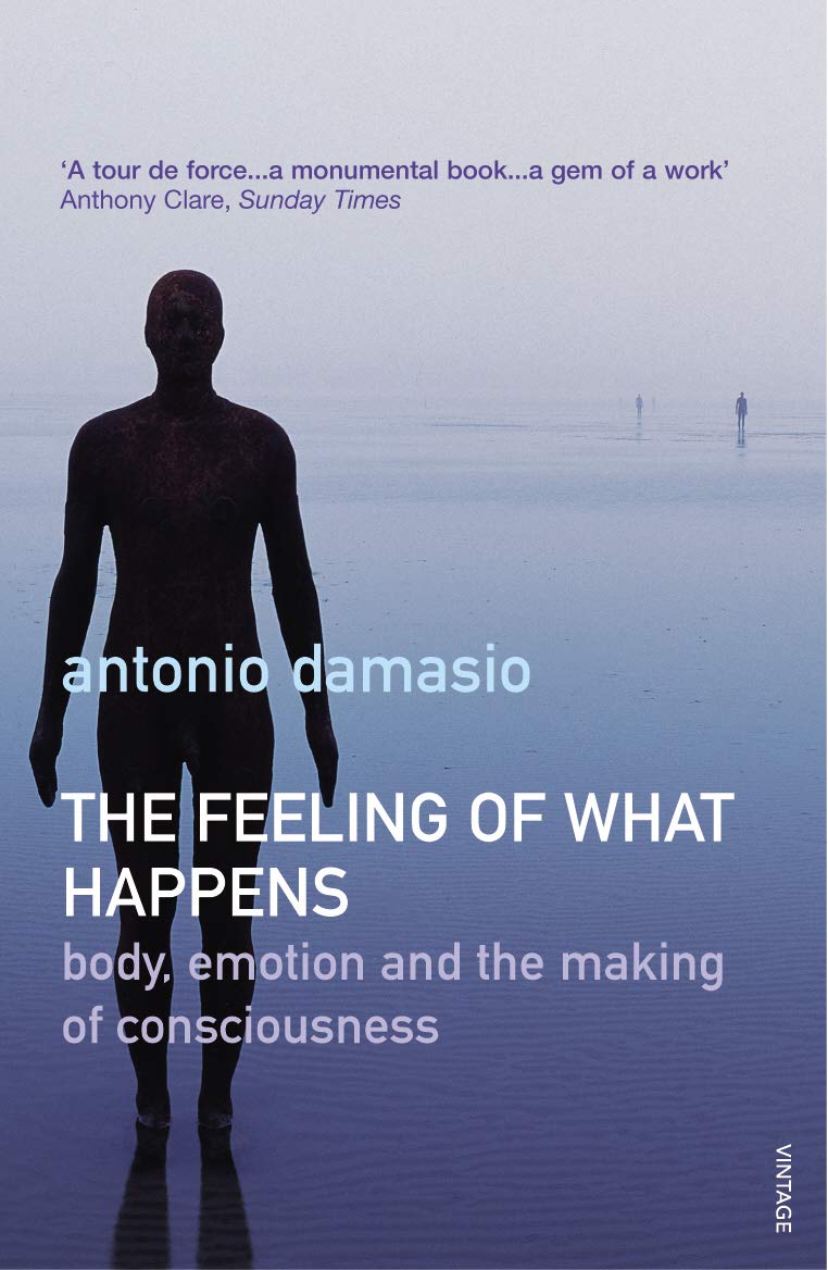 The Feeling of What Happens : Body, Emotion and the Making of Consciousness