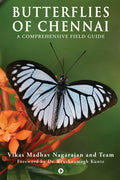 Butterflies of Chennai