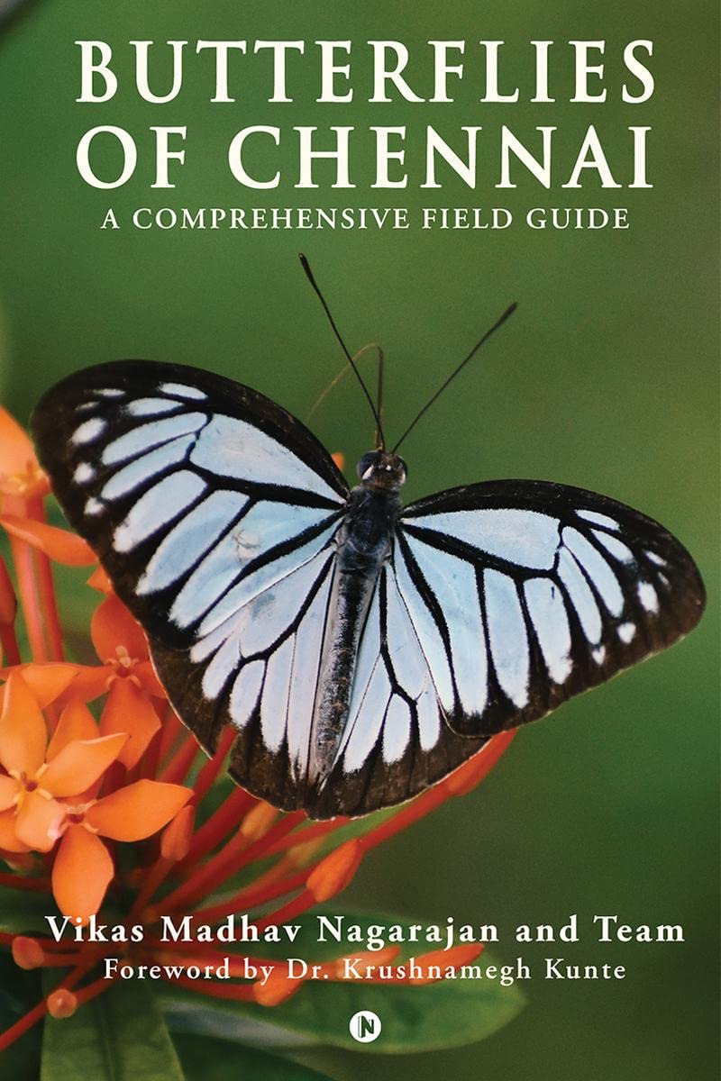 Butterflies of Chennai