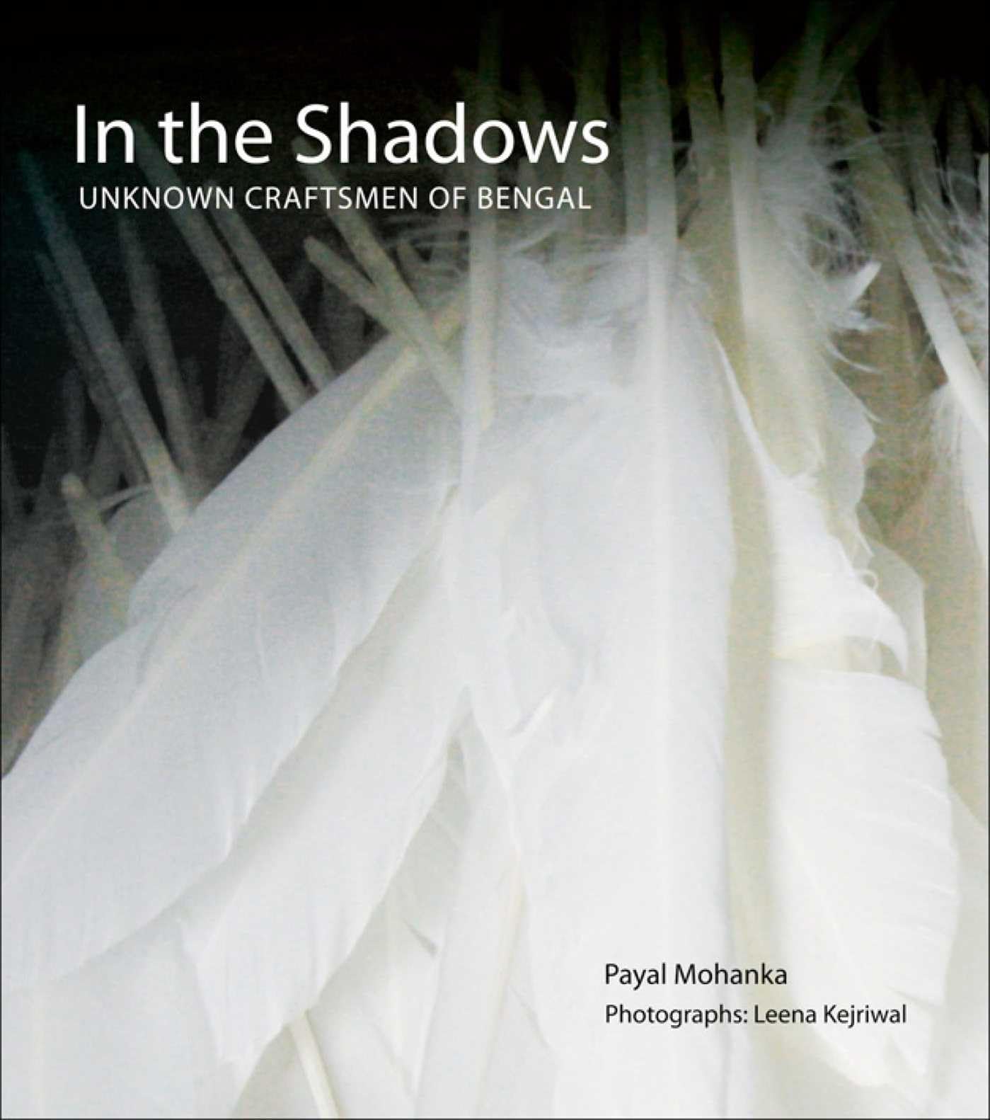 In The Shadows: Unknown Craftsmen Of Bengal