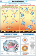 Stp37 | Teachingnest | Nuclear Fusion Chart (58X90 Cm) | English | Physics Charts | With Rollers [Wall Chart] Charts On Physics 