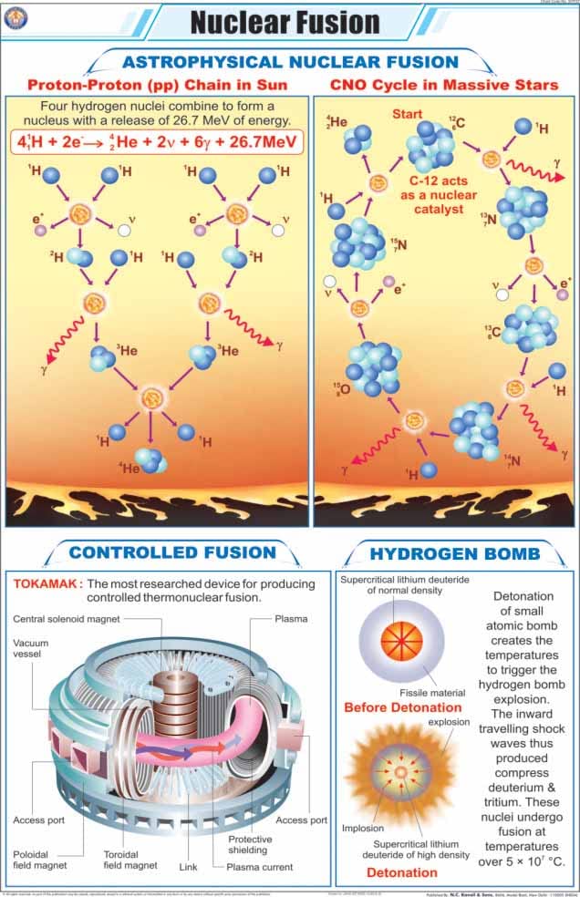 Stp37 | Teachingnest | Nuclear Fusion Chart (58X90 Cm) | English | Physics Charts | With Rollers [Wall Chart] Charts On Physics 