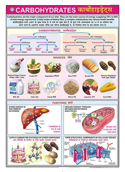 Fn04 | Teachingnest | Carbohydrates Chart (70X100Cm) | Food And Nutrition Chart | Wall Sticking | English  Hindi Combined [Wall