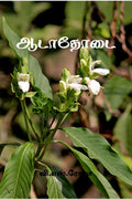 Aadathodai / 