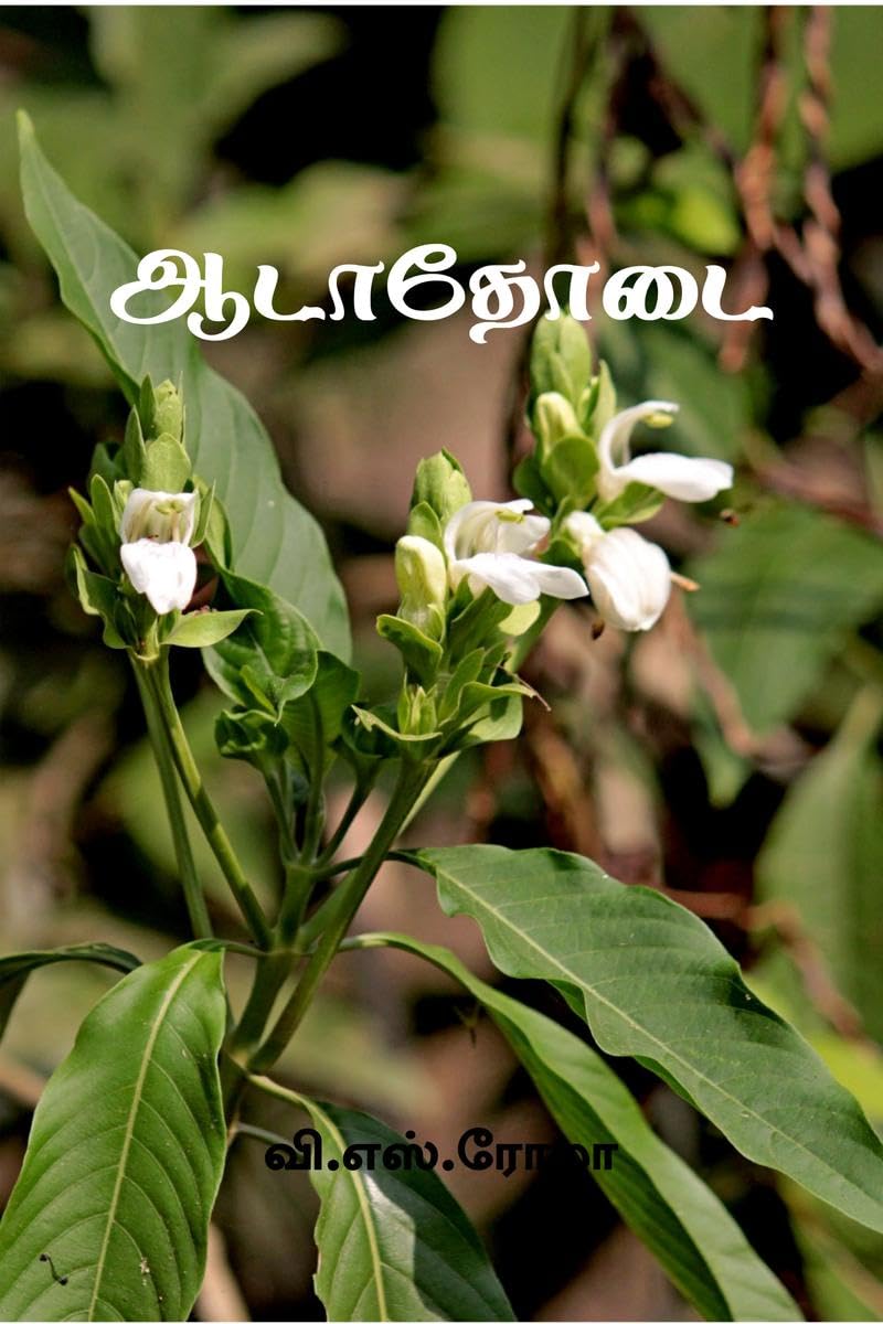 Aadathodai / 