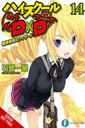 High School DxD, Vol. 14 (light novel) (High School Dxd, Light Novel, 14)