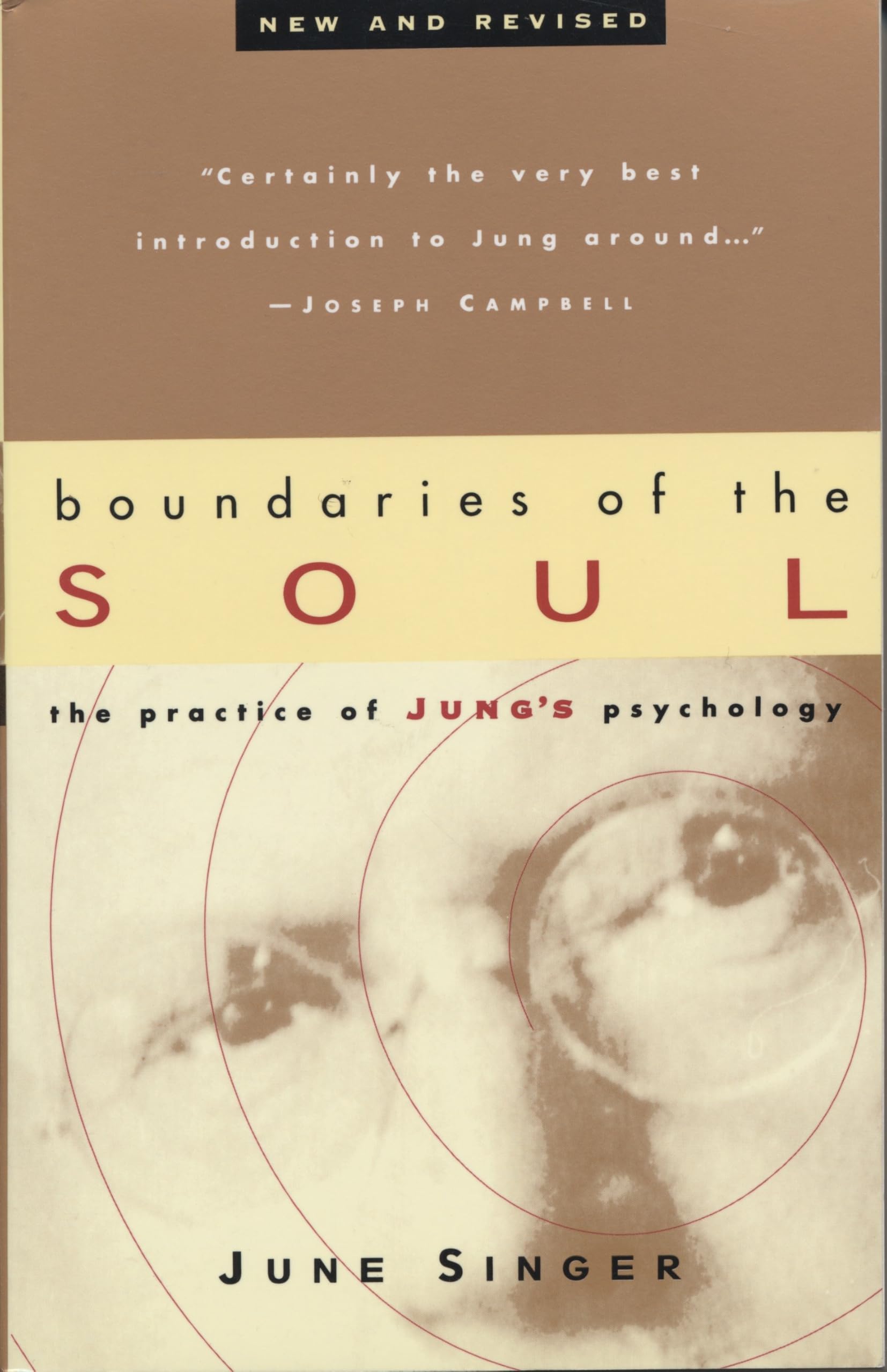 Boundaries of the Soul: The Practice of Jungs Psychology