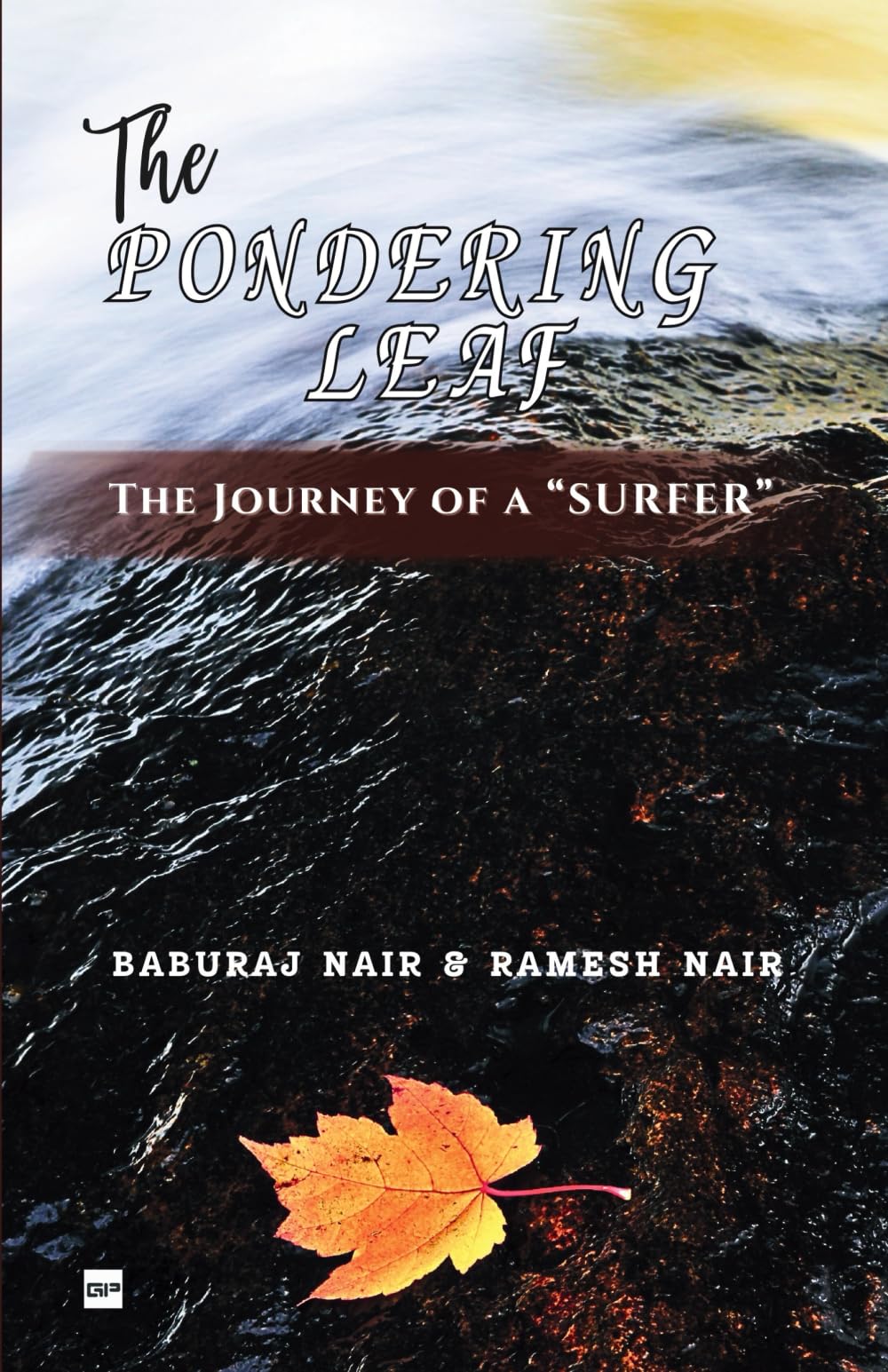 The Pondering Leaf: The Journey Of A Surfer