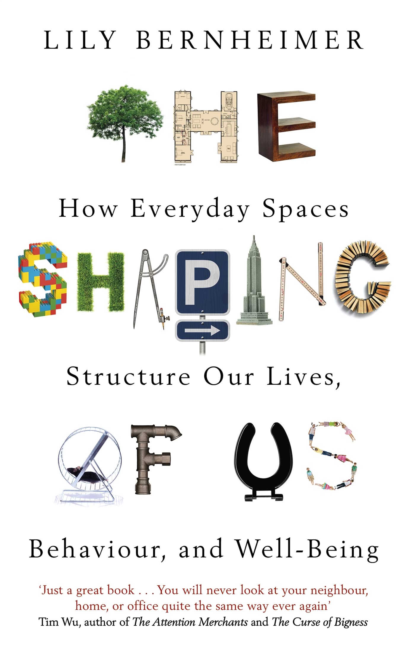 THE SHAPING OF US
