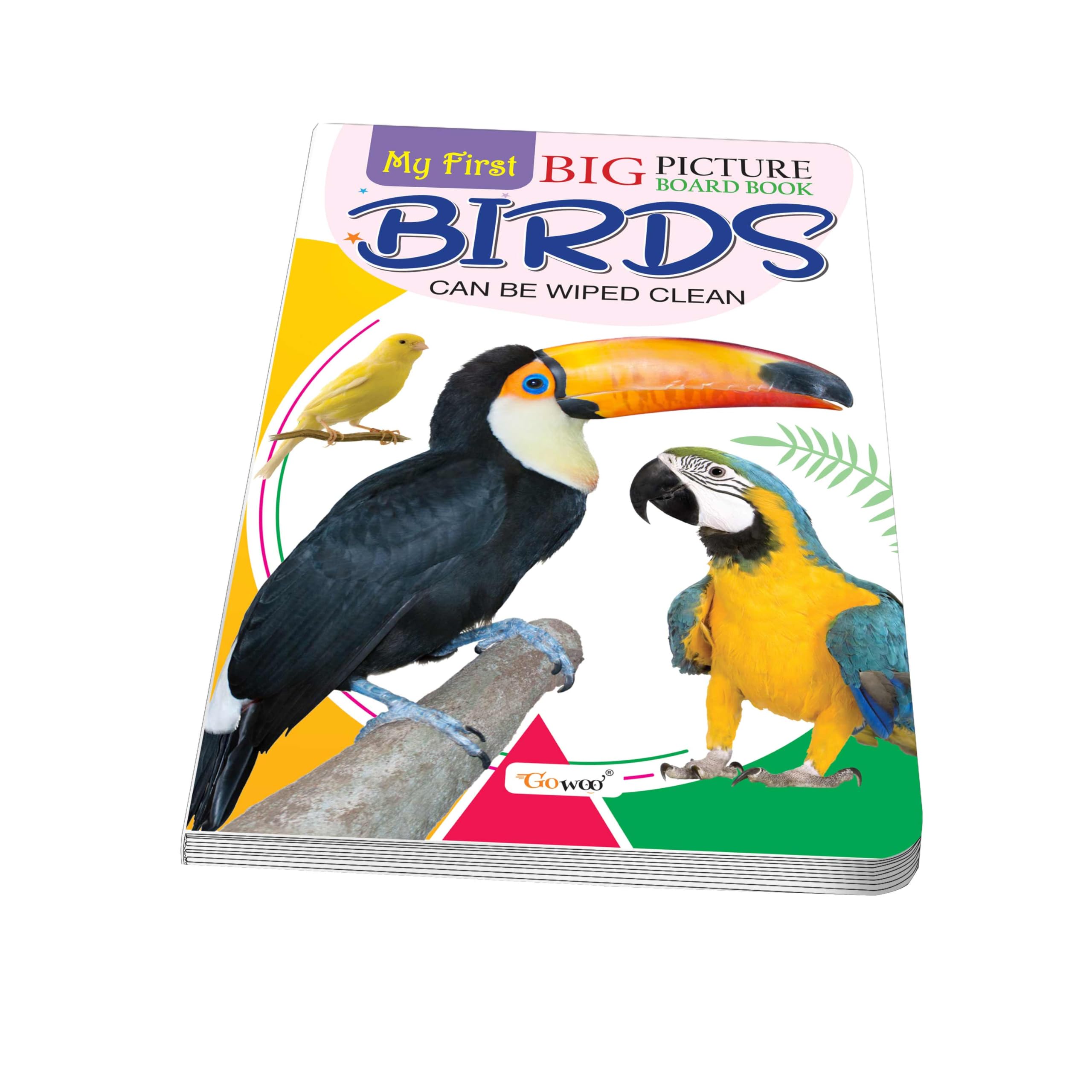 My First Big Picture Board Book Birds : Learn Bird Names with Pictures, Bright Educational Board Book for Preschool Kids, bird 