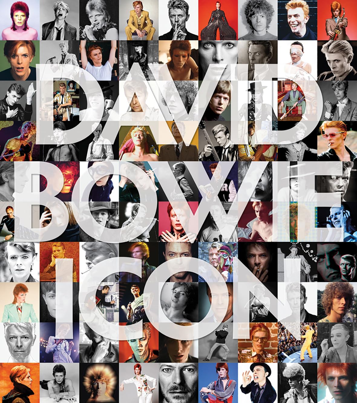 David Bowie: Icon: The Definitive Photographic Collection (Icons)