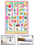 The Alphabet (Size 70 X 100 Cms)|Laminated Both Sides