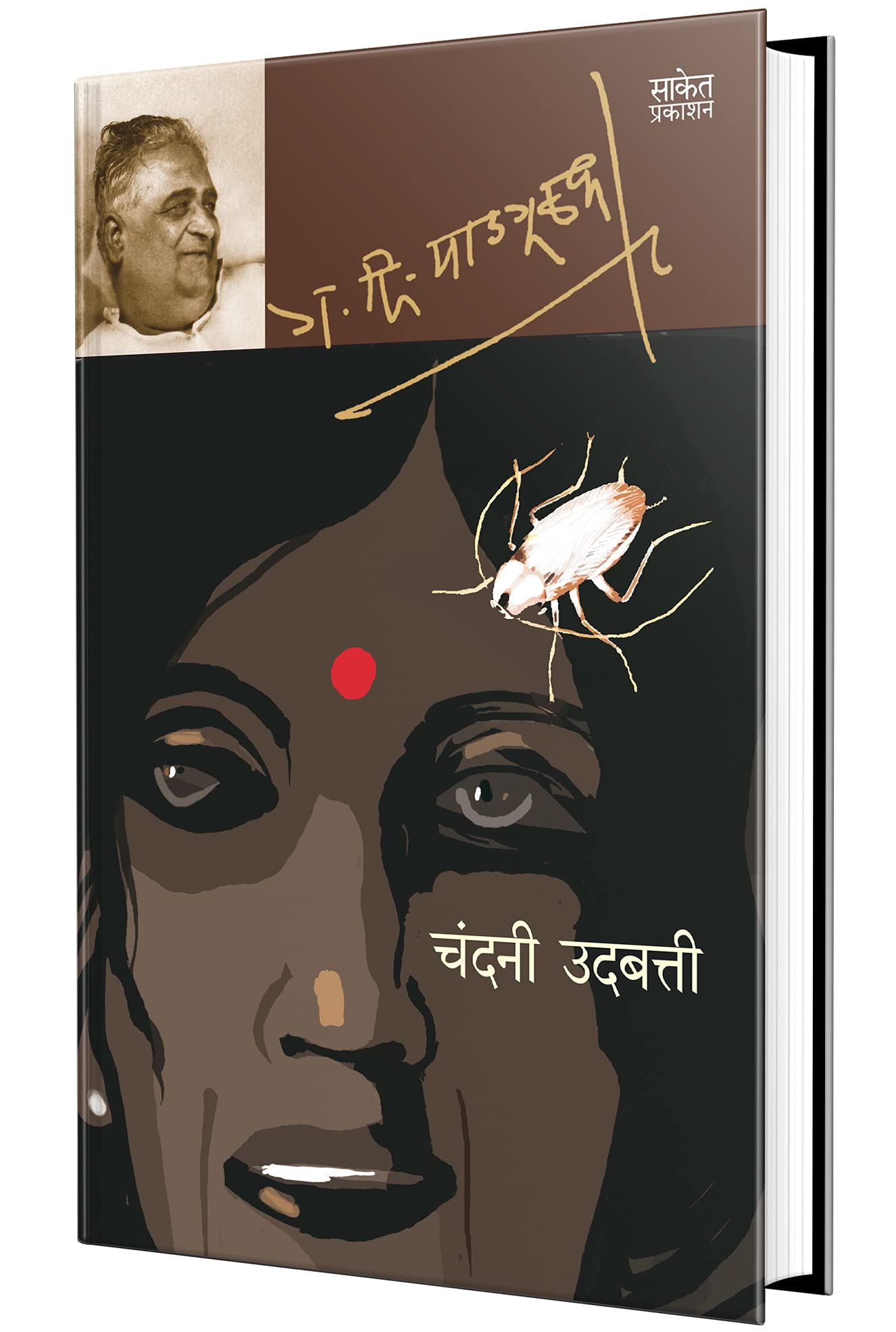 Chandani Udbatti : G D Madgulkar Marathi Books,      Literature Sahitya, ,  , Gadima Book