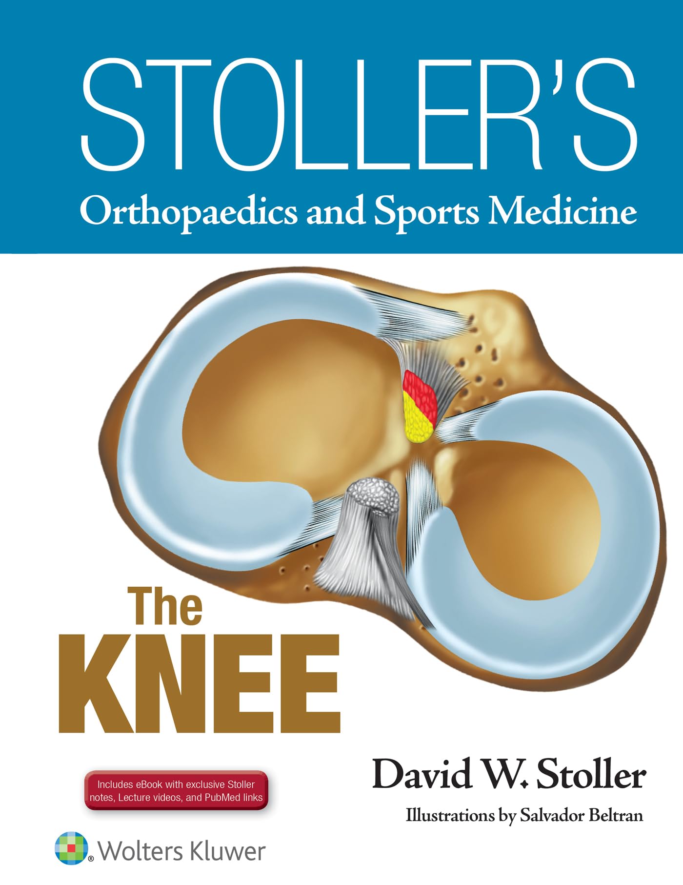 Stollers Orthopaedics and Sports Medicine: The Knee: Includes Stoller Lecture Videos and Stoller Notes