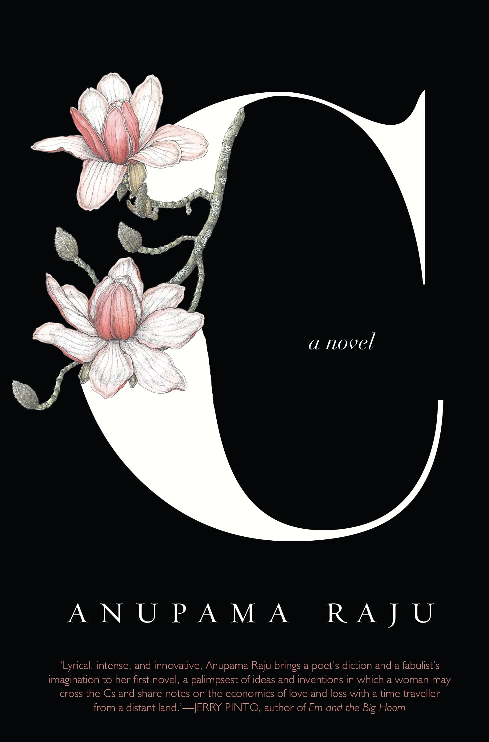 C: A Novel