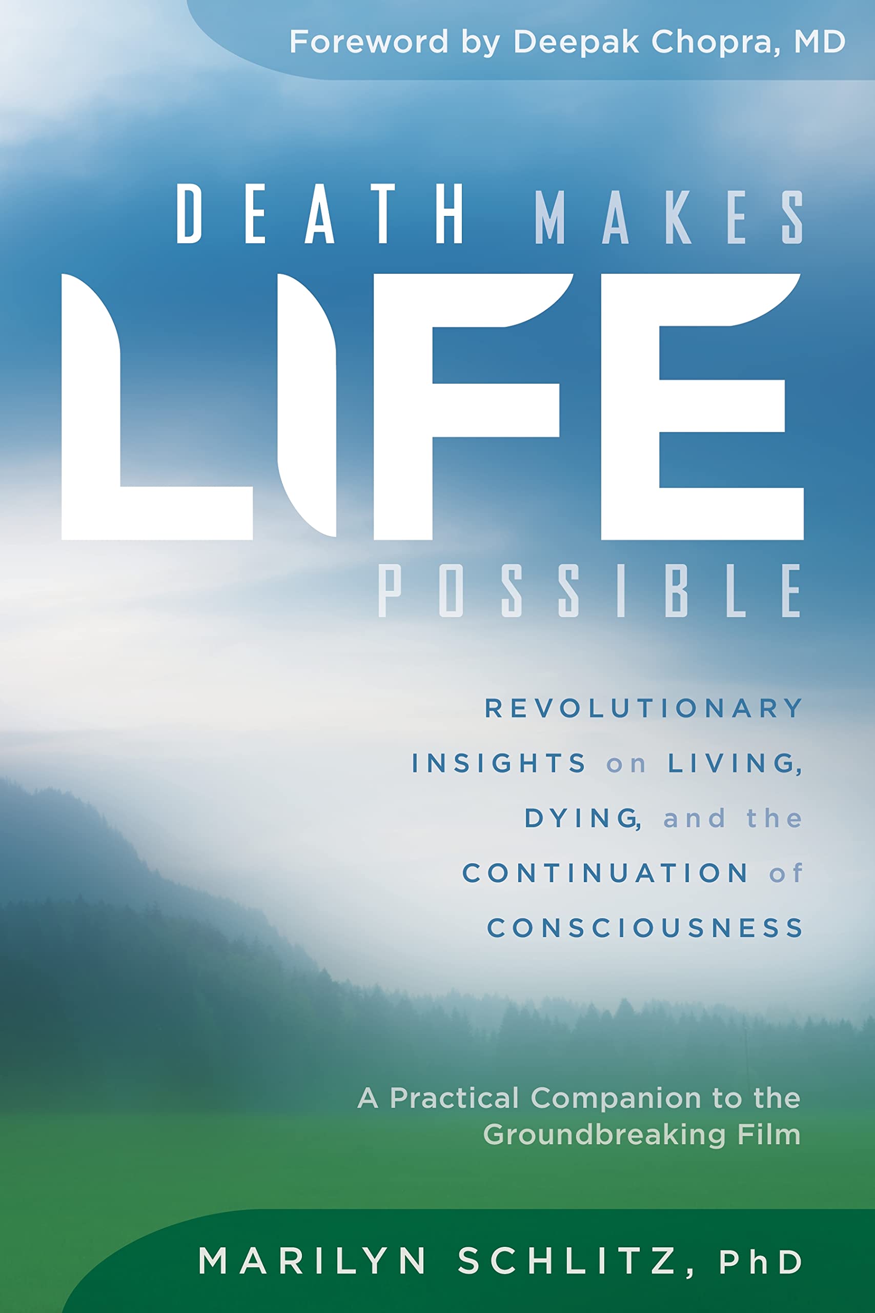 Death Makes Life Possible: Revolutionary Insights On Living, Dying, And The Continuation Of Consciousness