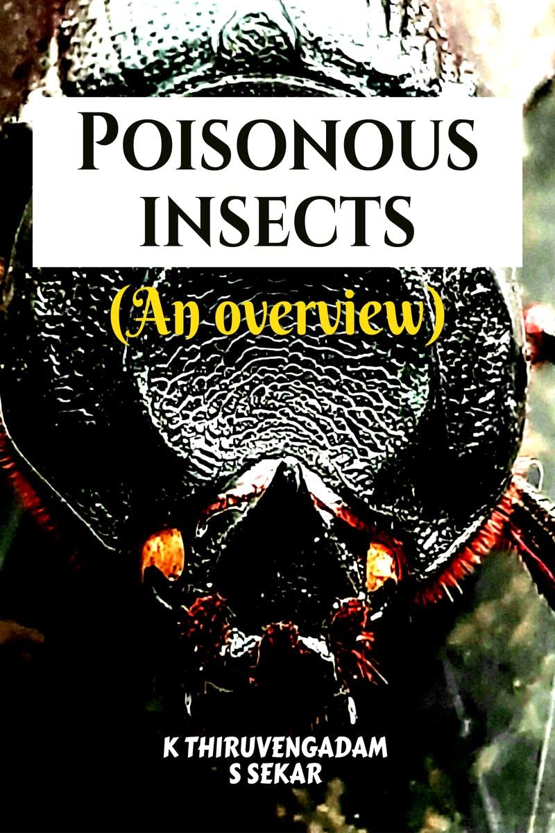 Poisonous insects  An overview