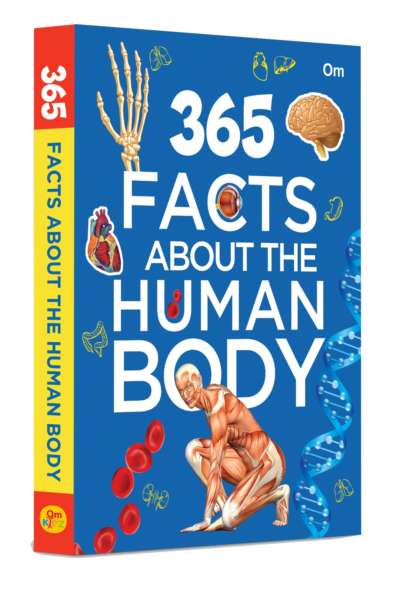 365 Facts About the Human Body: Anatomy & Biology Facts for Kids | Daily Insights into Anatomy, Organs, Senses & More | How the 